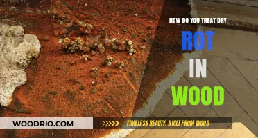 Reviving Weathered Wood: A Comprehensive Guide to Treating Dry Rot