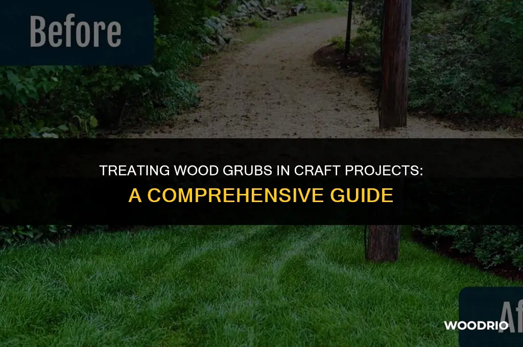 how do you treat for wood grubs in craft projects