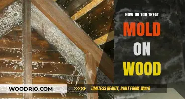 Effective Methods to Treat and Remove Mold from Wood Surfaces