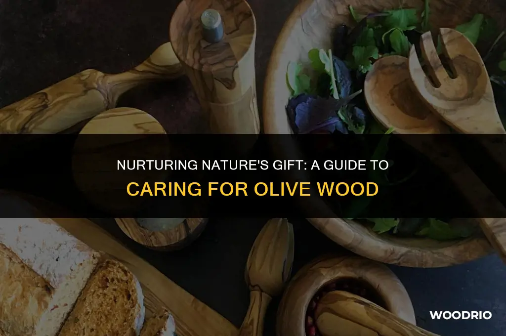 how do you treat olive wood