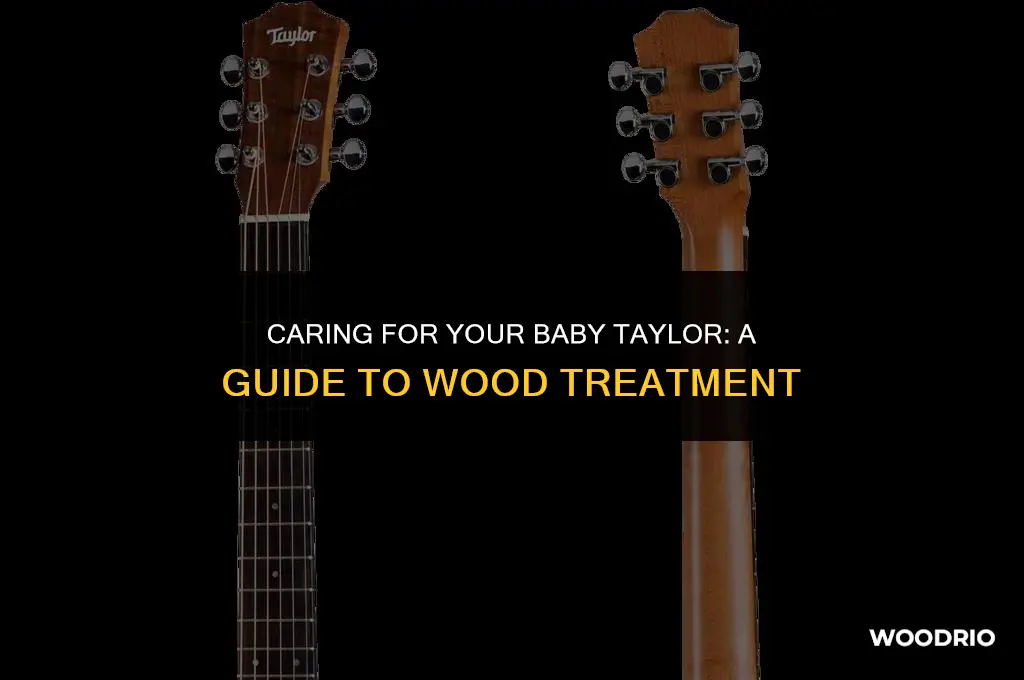 how do you treat the wood on a baby taylor
