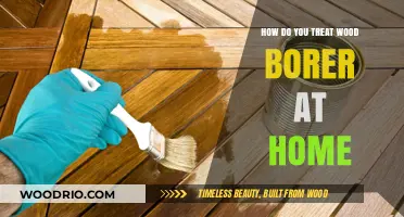 Effective Home Remedies to Treat Wood Borers Naturally