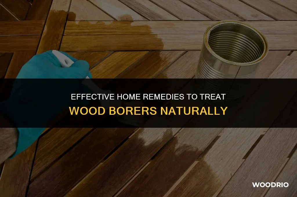 how do you treat wood borer at home