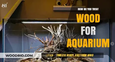 Treating Wood for Aquariums: A Comprehensive Guide