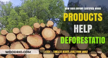Sustainable Choices: How Certified Wood Products Combat Deforestation