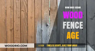 Cedar Wood Fence Aging: Weathering, Maintenance, and Longevity Explained