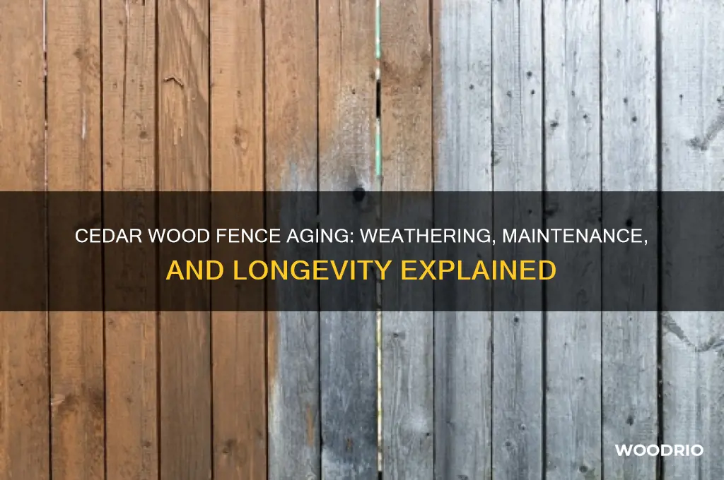 how does cedar wood fence age