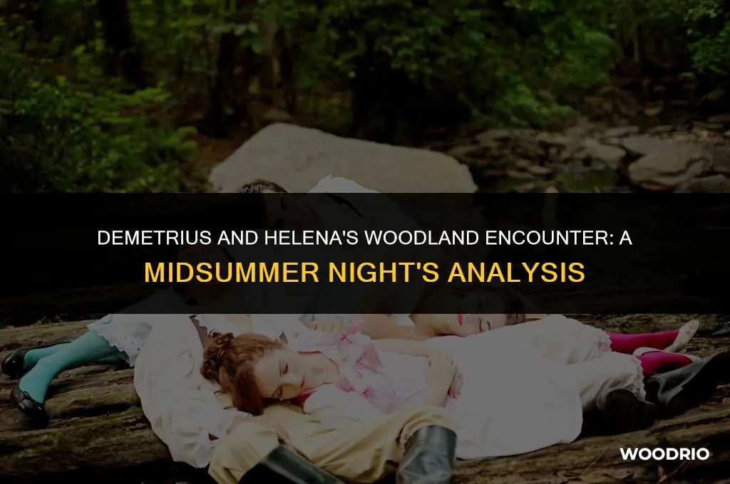 how does demetrius treat helena in the woods