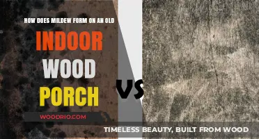 Understanding Mildew Growth on Aging Indoor Wood Porches: Causes and Prevention