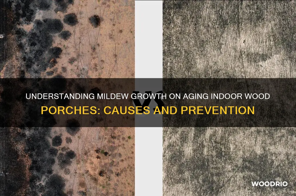 how does mildew form on an old indoor wood porch