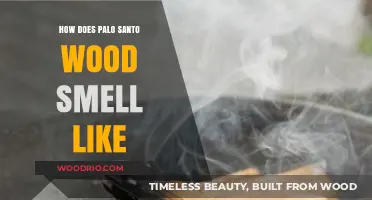 Unveiling the Mystique: What's the Palo Santo Wood Scent?
