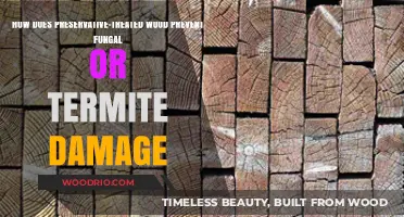Shielding Timber: The Science Behind Preservative-Treated Wood's Resistance to Fungi and Termites
