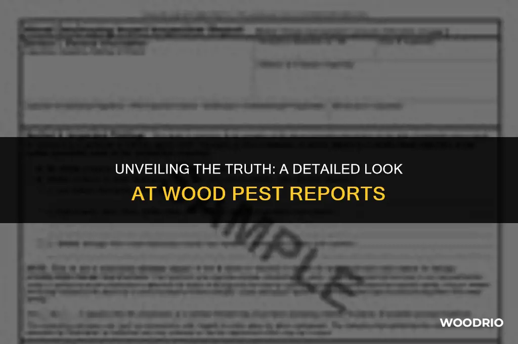 how does this wood pest report look like