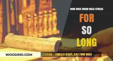 Understanding Wood's Durability: How It Withstands Stress Over Time