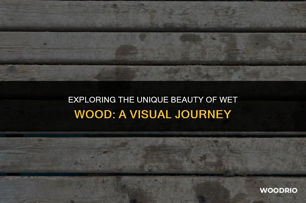 how does wood look like when wet