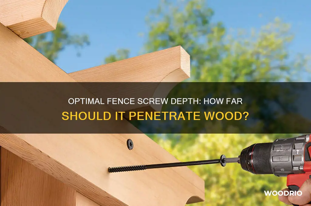 how far does fence screw need to go into wood
