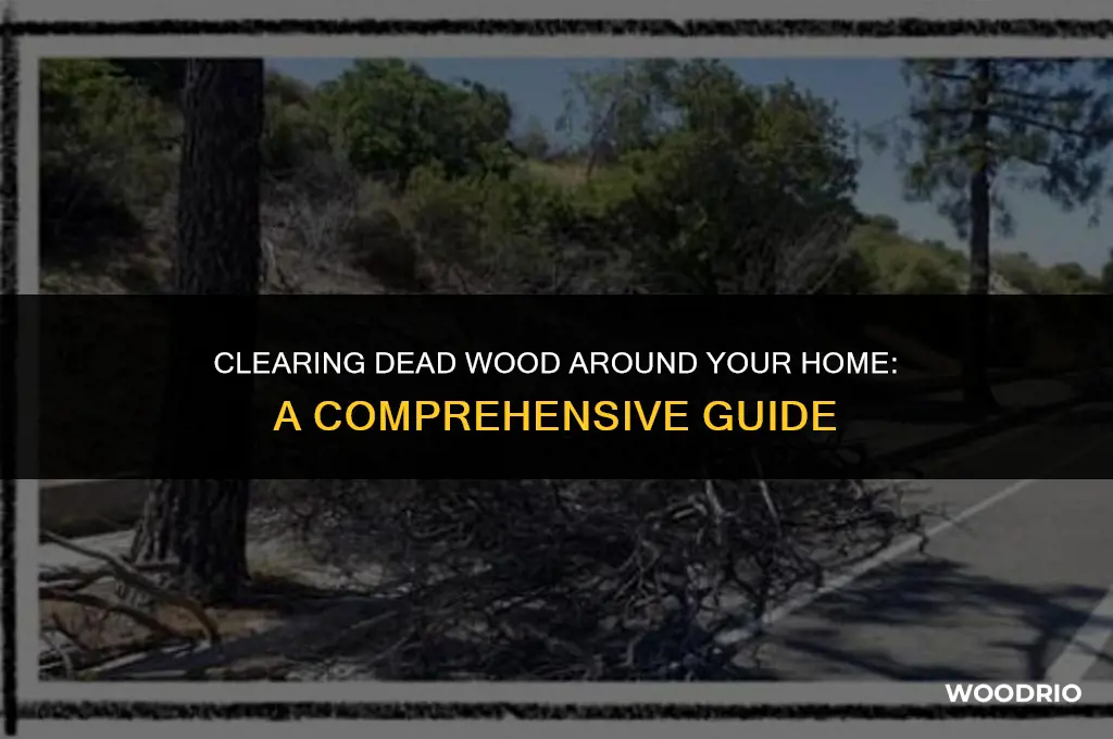 how far to clear dead wood around home
