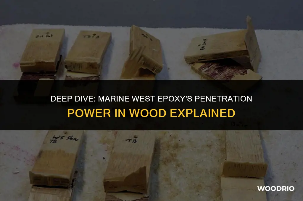 how far will marine west epoxy penetrate into wood