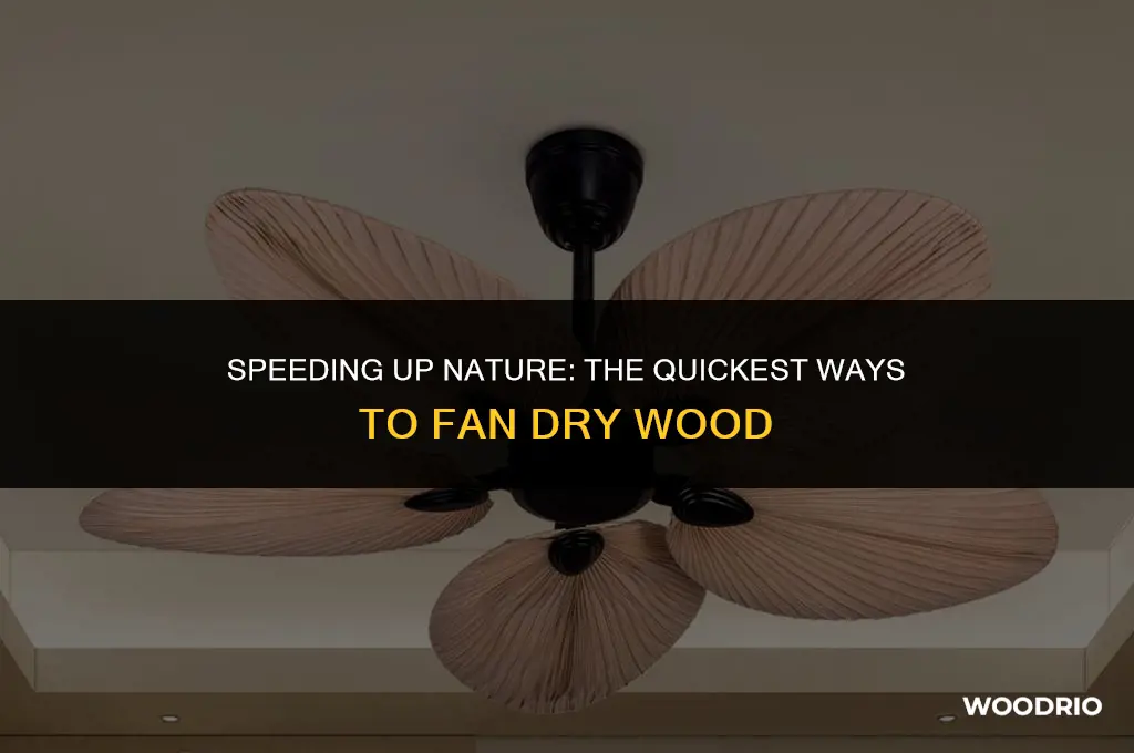 how fast will fan dry wood
