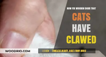 Repairing Wooden Doors: A Guide to Fixing Cat Claw Damage