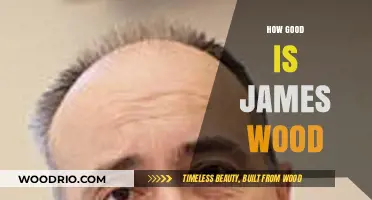 Exploring the Literary Prowess of James Wood: A Critical Look