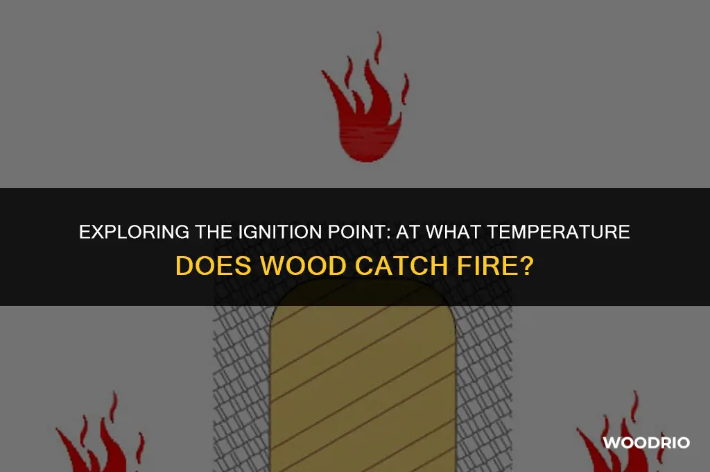 how hot does wood have to be to burn