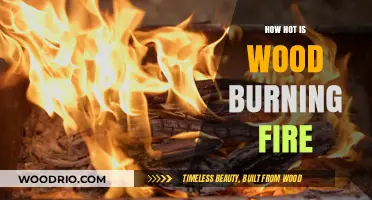 The Scorching Truth: Understanding the Heat of Wood Burning Fires