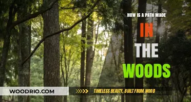 Crafting Nature's Trails: The Art of Path-Making in Woodlands