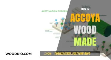 Crafting Sustainability: The Innovative Process of Accoya Wood Creation