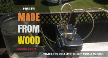 From Timber to Tincture: The Art of Rendering Lye from Wood