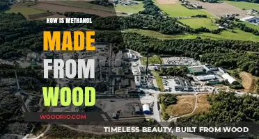 Sustainable Chemistry: Producing Methanol from Wood Biomass