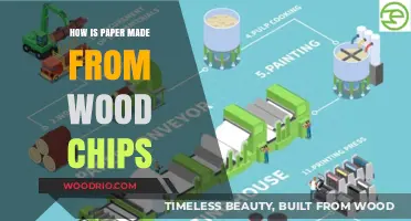 From Wood Chips to Paper: The Fascinating Journey of Pulp and Print