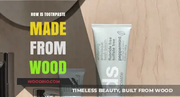 From Timber to Toothpaste: The Surprising Natural Origins of Oral Care