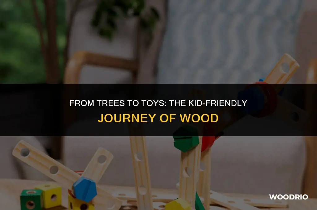 how is wood made for kids