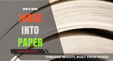 From Timber to Text: The Fascinating Journey of Wood to Paper