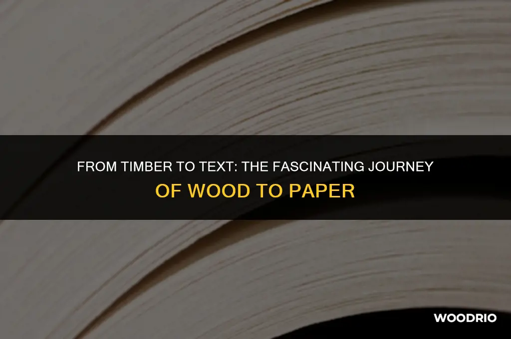 how is wood made into paper