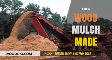 From Timber to Terrain: The Journey of Wood Mulch Creation