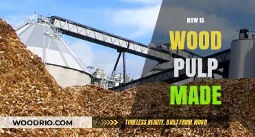 Unveiling the Secrets: A Comprehensive Guide to Wood Pulp Production