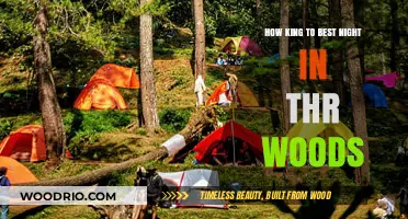 Mastering the Art of a Perfect Night in the Woods