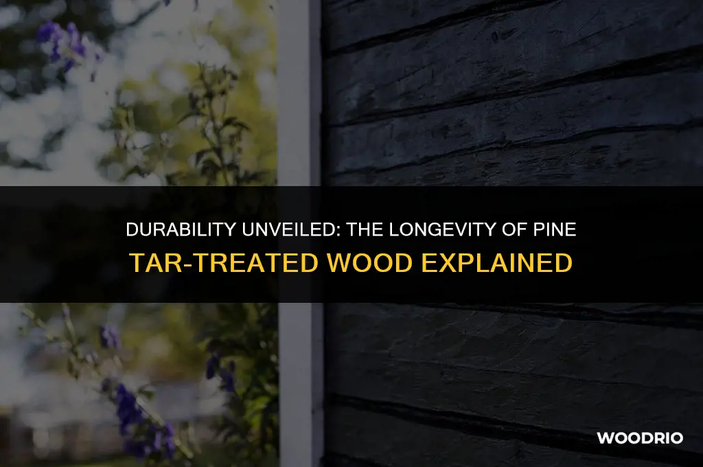 how lomg will wood treated with pine tar last