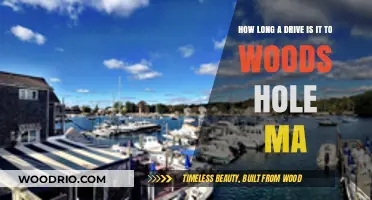 Exploring the Scenic Drive to Woods Hole, Massachusetts: Time & Distance