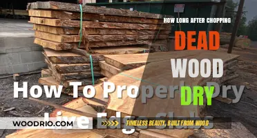 Drying Dead Wood: Timing Tips After Chopping for Optimal Use