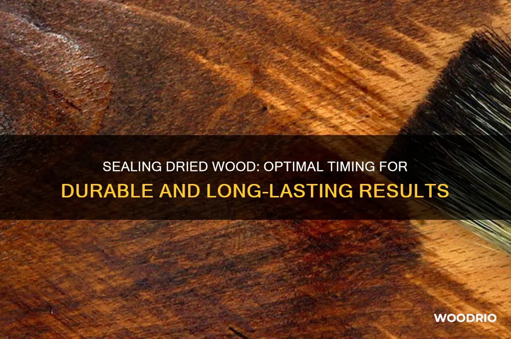 how long after dying wood should i wait before sealing