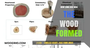 Unveiling the Age: How Long Ago Was the Wood Formed?