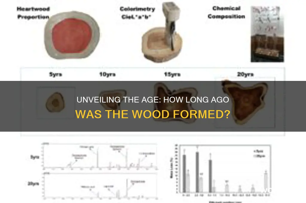 how long ago was the wood formed