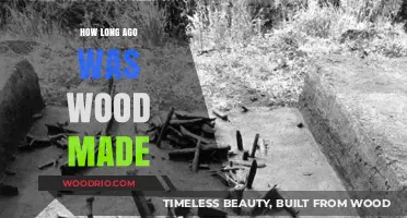 Exploring the Ancient Origins of Wood Formation and Age