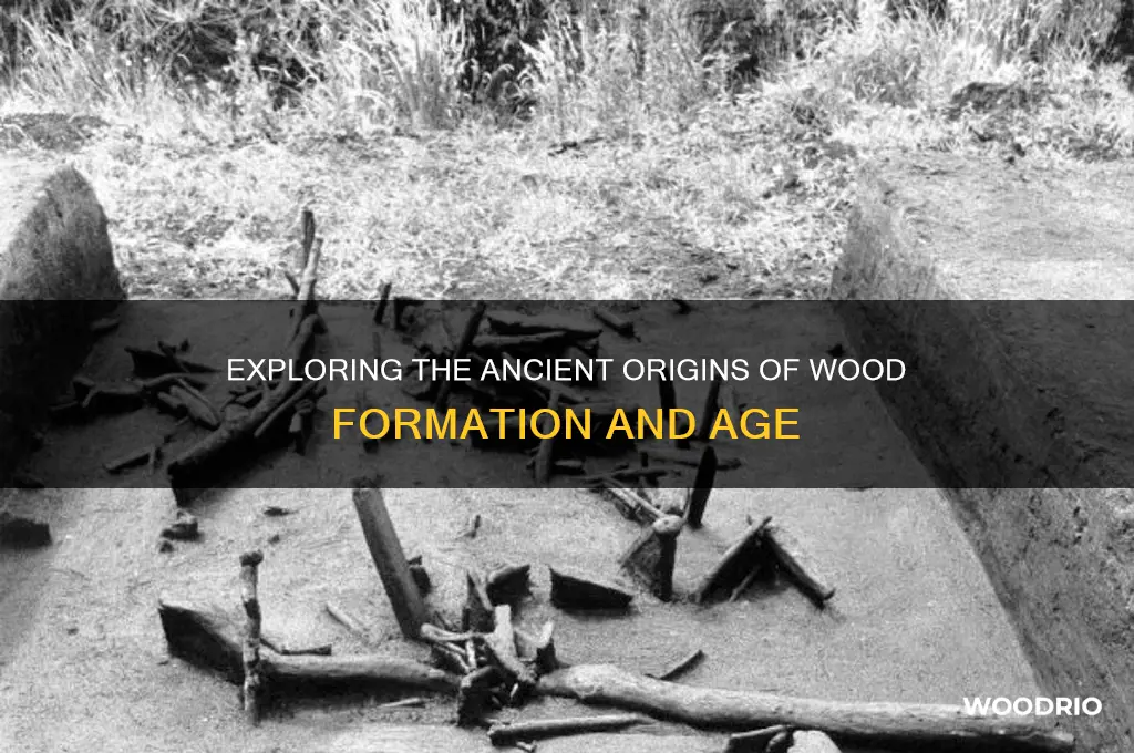 how long ago was wood made