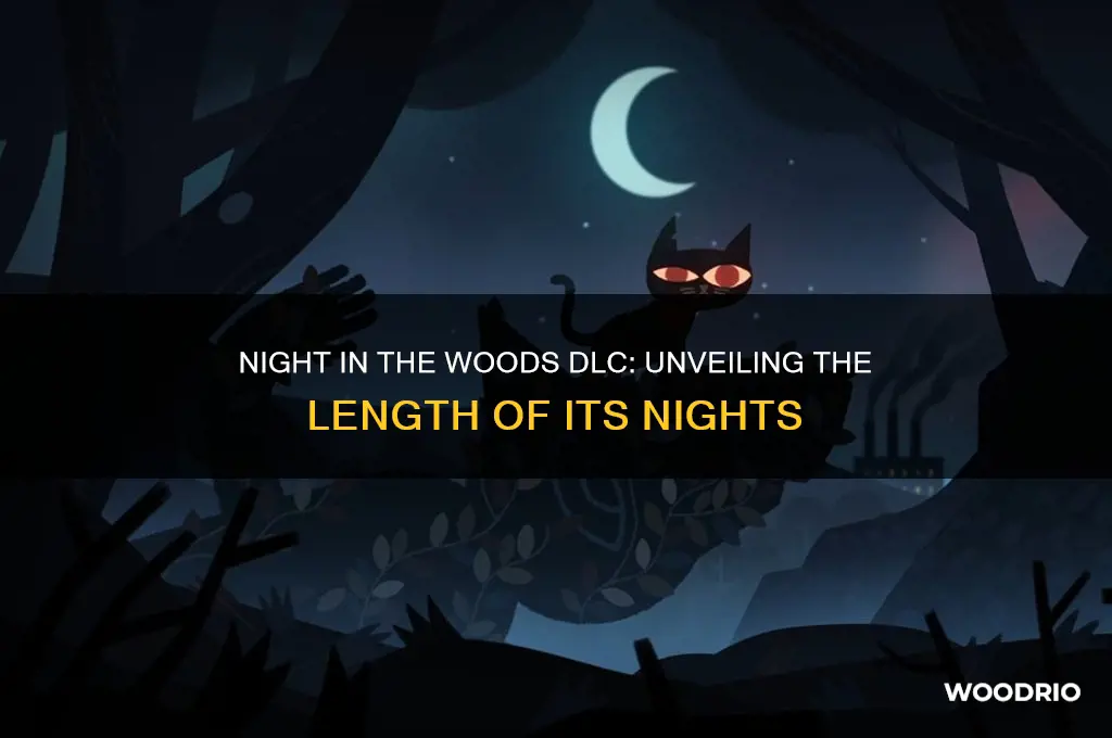 how long are the night in the woods dlc