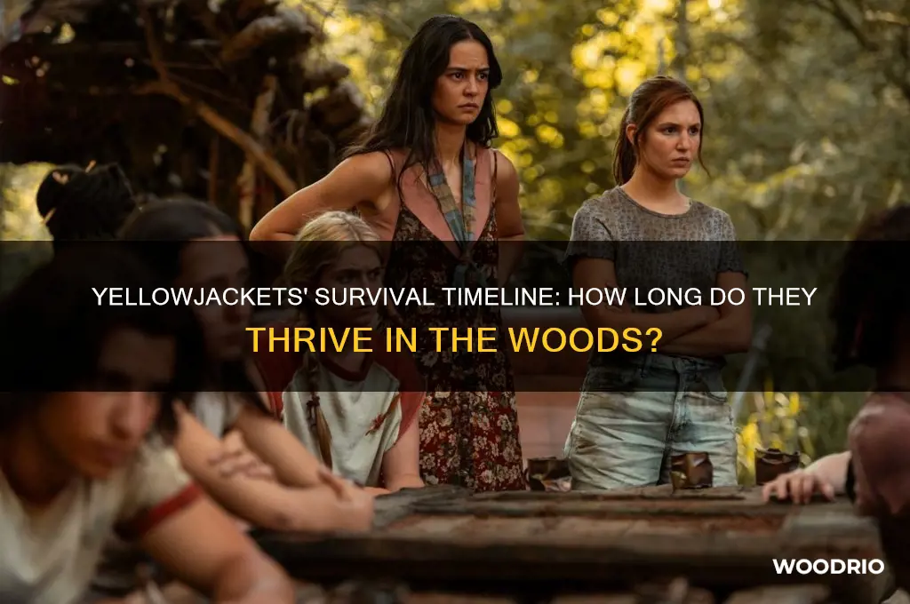 how long are they in the woods yellowjackets