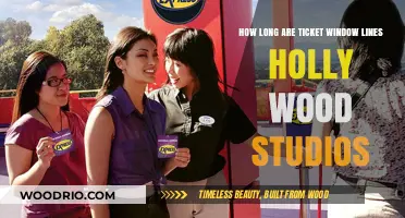 Hollywood Studios Ticket Window Wait Times: What to Expect